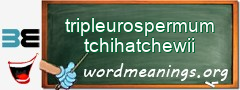 WordMeaning blackboard for tripleurospermum tchihatchewii